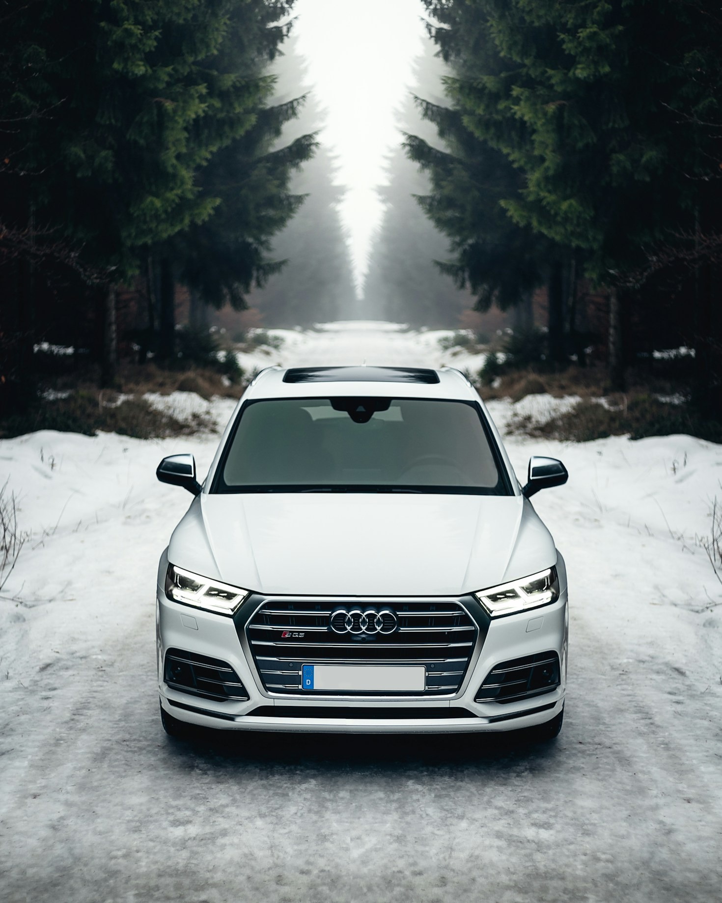 The Evolution of Performance Cars: Then to Now